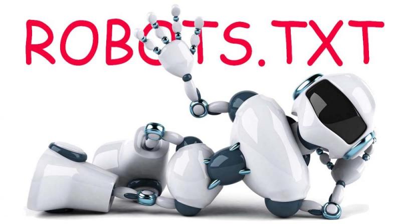 Что такое robots.txt и зачем он нужен в Владикавказе